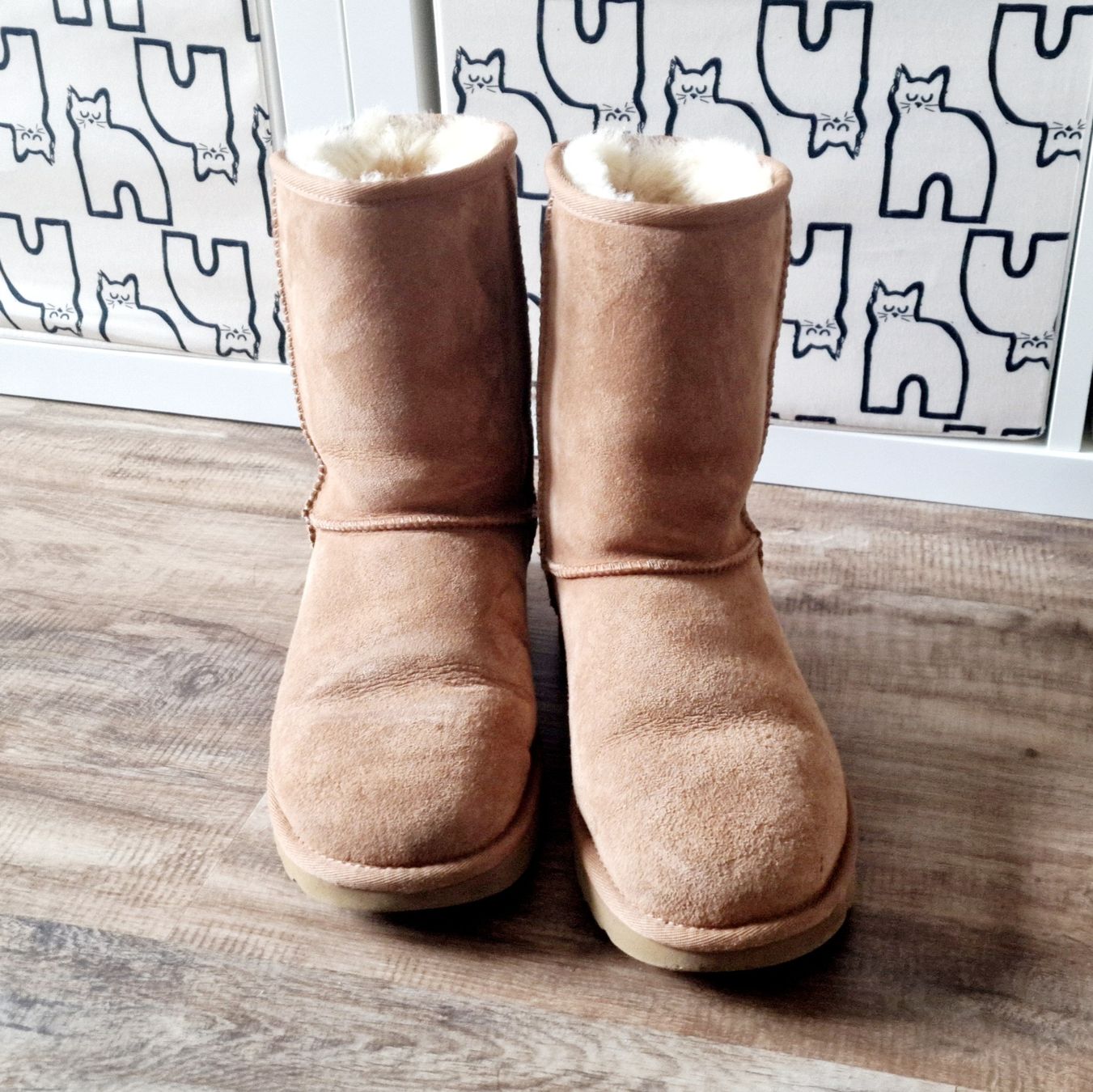 Ugg Damenschuhe: UGG Stiefel – Neu (gemäss Beschreibung) aus Olten von papalbina
