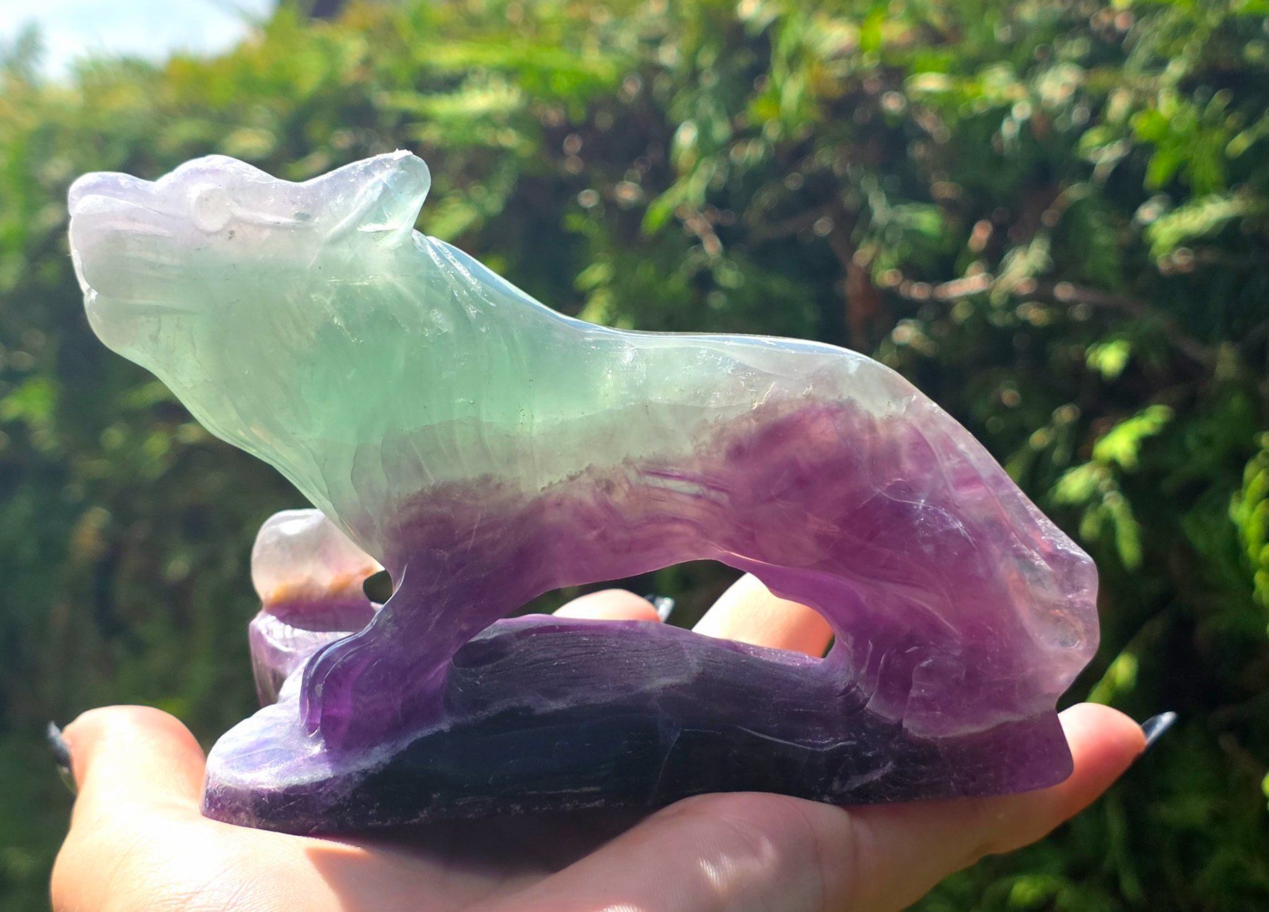 Mineralien & Heilsteine: 💜 Fluorit Wolf 💚667g – Neu und originalverpackt aus Matzingen von Shay_Crystalz