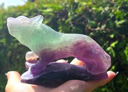 💜 Fluorit Wolf 💚667g