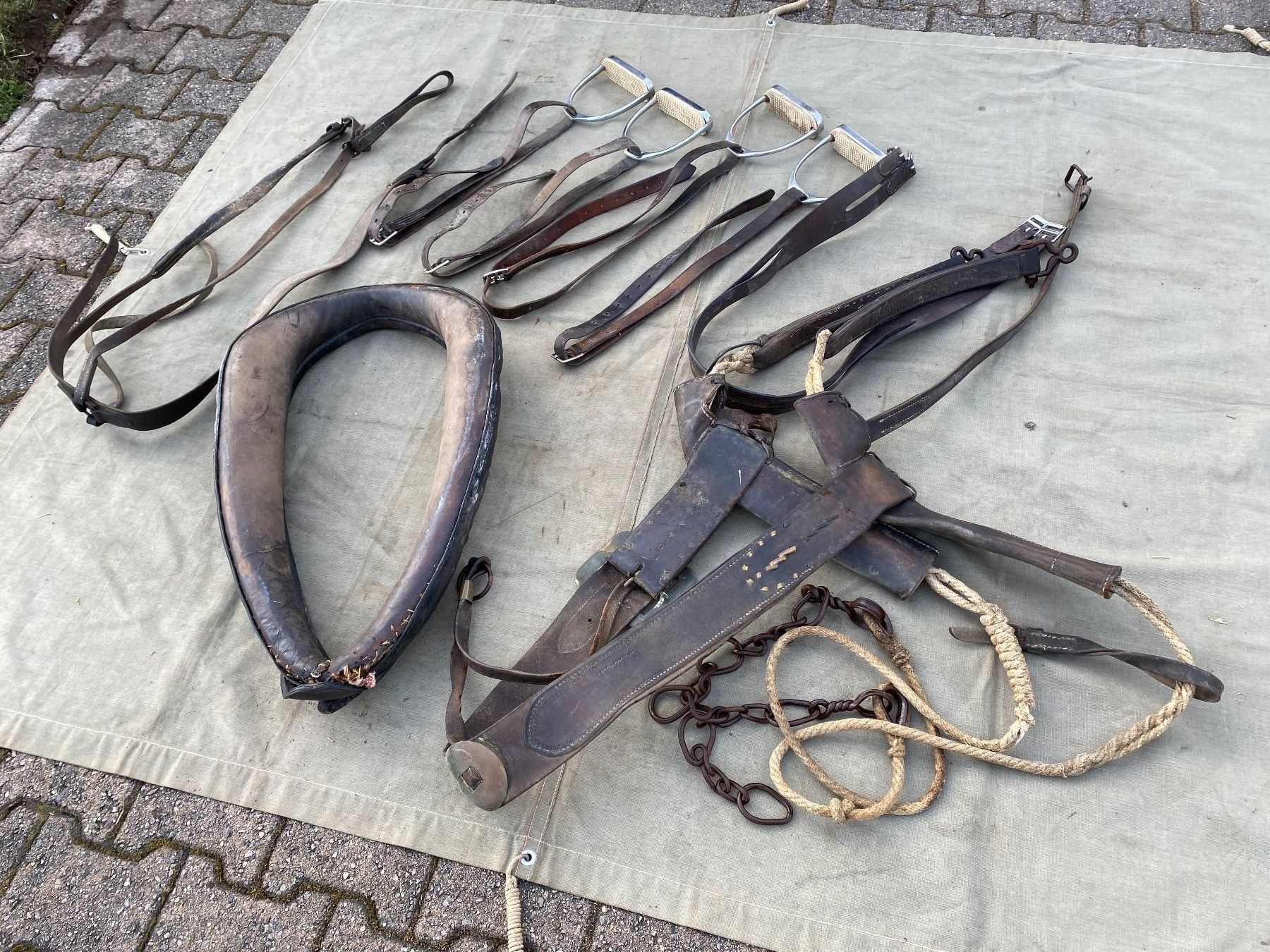 Carrozze: Pferdezubehör Lot – Difettoso da Feldbach venduto da Fea1 6
