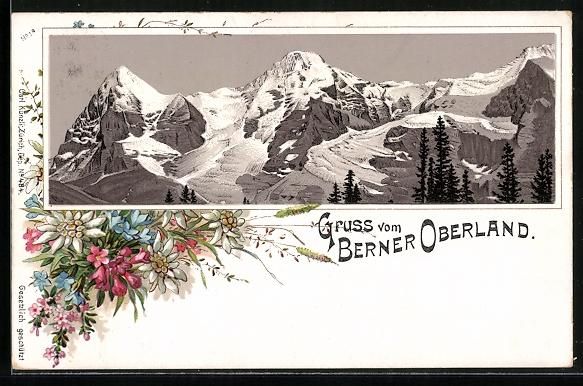 Cartoline postali: Litho Bergpanorama aus dem Berner Oberla – Usato da Berlin venduto da bartko-reher