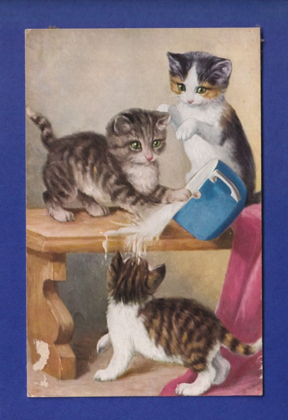 Cartoline postali: CHAT - Chatons joueurs // dégât sur la face // – Usato da Pully venduto da nicecards-shop