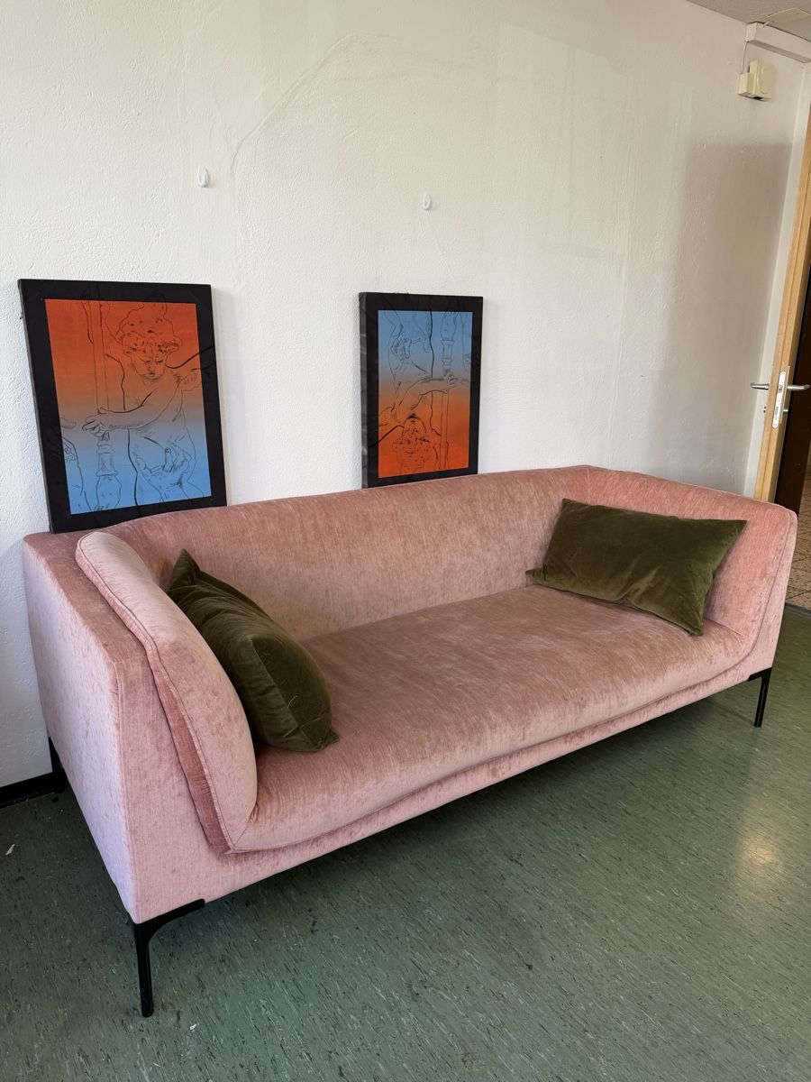 Divani: Rosa samt sofa – Usato da Zürich venduto da hel_7ltr 1