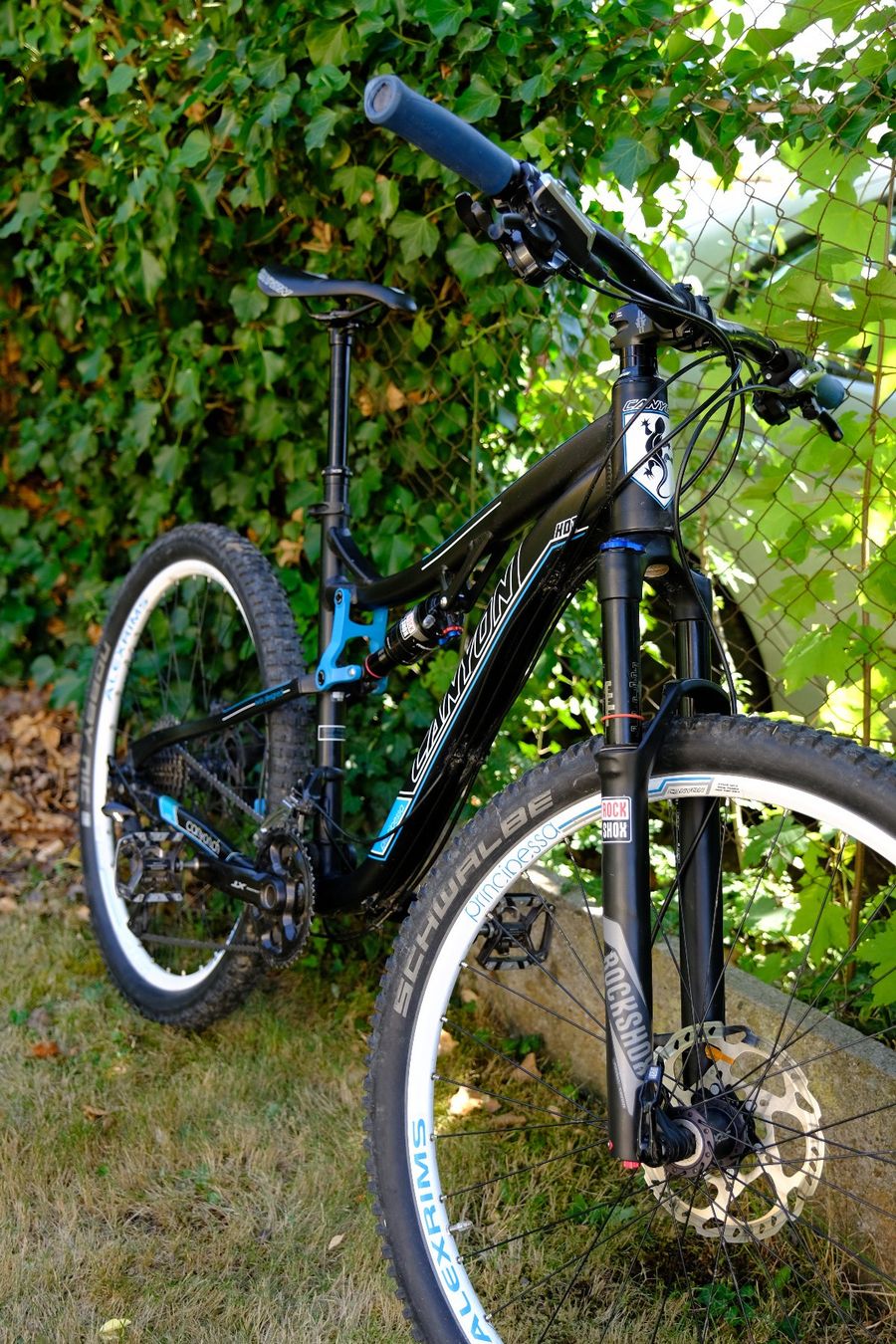 Canyon Biciclette: Canyon swiss Mountainbike – Usato da Köniz venduto da mowildhaber 8