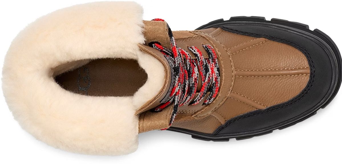 Ugg Scarpe da donna: Ugg Winterstiefel Boots 40, 41 oder 42  habe Sorel – Nuovo e nell'imballaggio originale da Riniken venduto da Babeli78 3