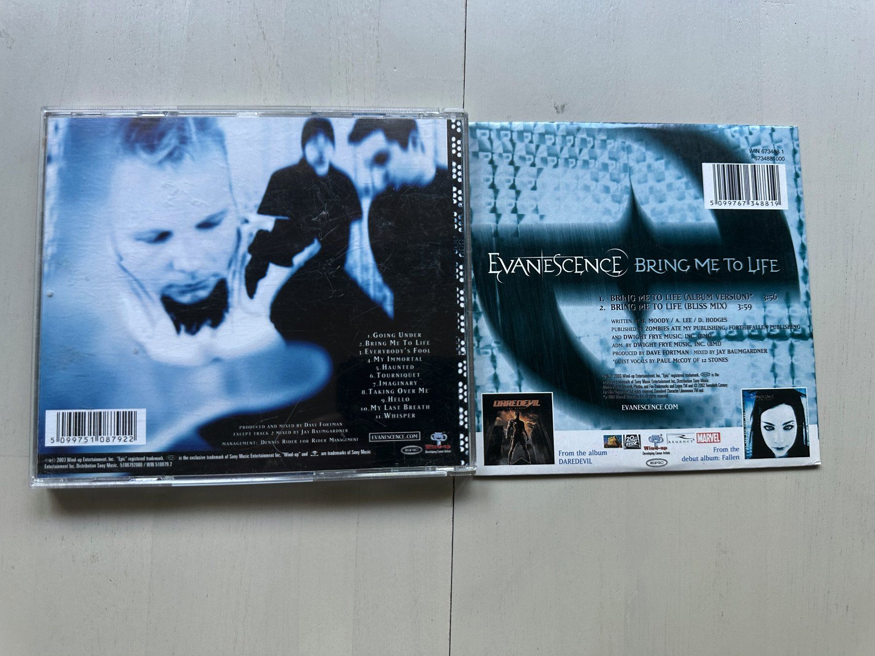 CD: EVANESCENCE tolle CD Fallen + Maxi Kult Metal Alternative Nu – Usato da Basel venduto da Partridge 1