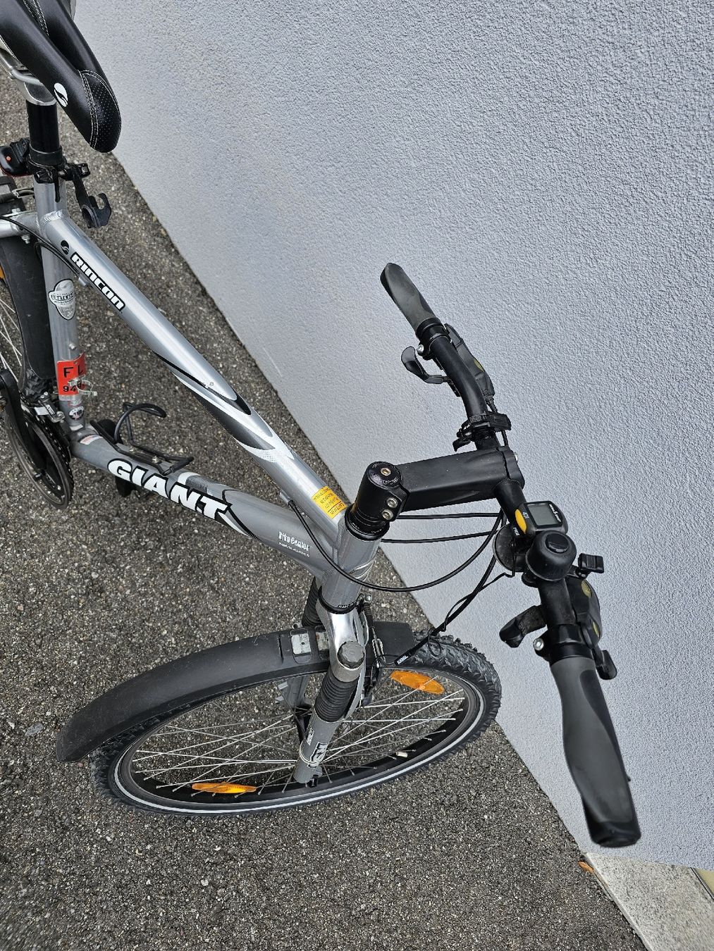 Giant Biciclette: Fahrrad GIANT – Usato da Ruggell venduto da KatjaBuechel 1