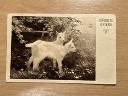 Antike Osterkarte, Fröhliche Ostern, Rarität, Top Zustand