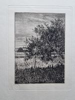 RADIERUNG AQUATINTA SIGNIERT  KÜNSTLER ? BLATTGRÖSSE 43X34CM