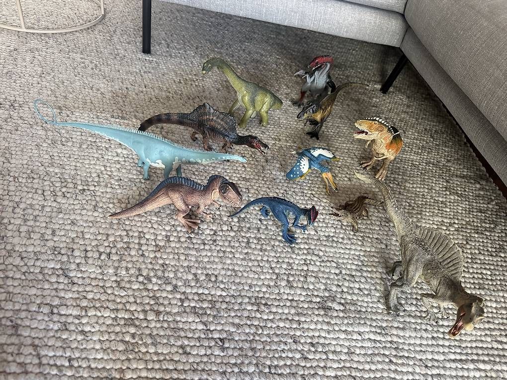 Giocattoli: Diverse Schleich Dinosaurier  – Usato da Chur venduto da Nina12345