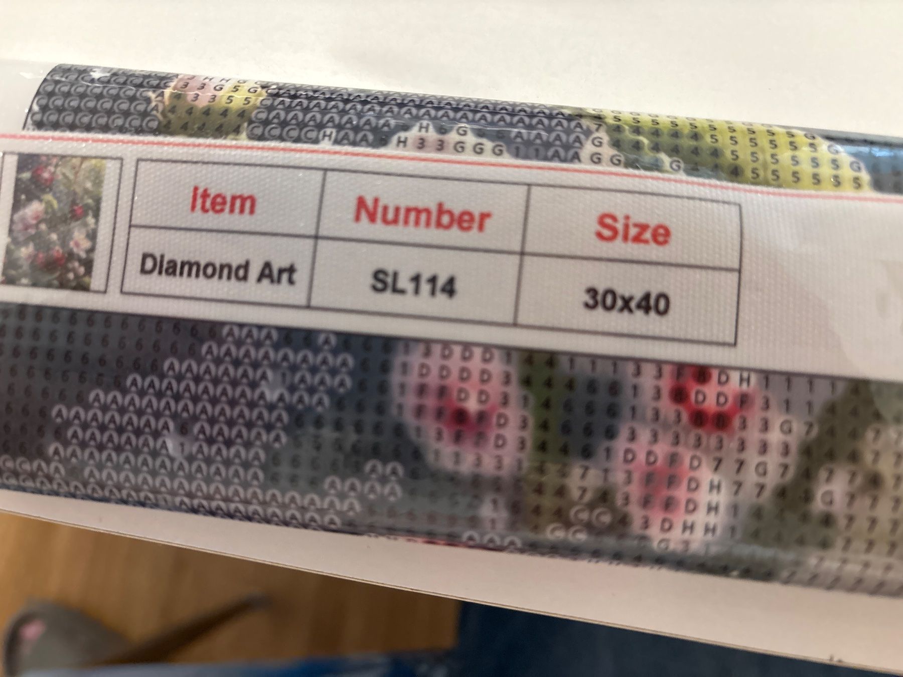 Kit bricolage: Bild Diamont Painting 30x40 – Nuovo (secondo la descrizione) da Amriswil venduto da SCHLOSSGEISTLI 1