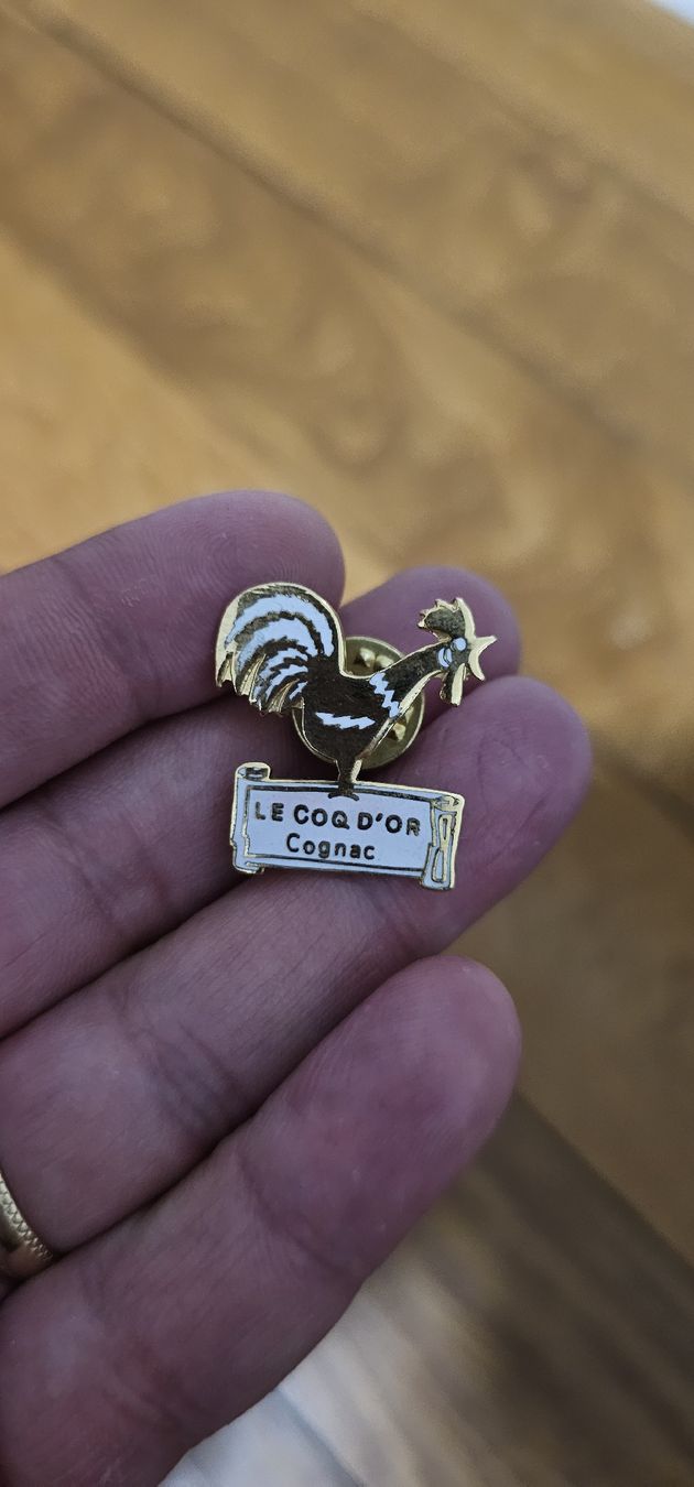 Spille & Fermagli: pins le coq – Nuovo (secondo la descrizione) da Lausanne venduto da Delaquinta88