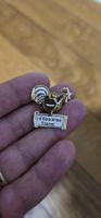 pins le coq