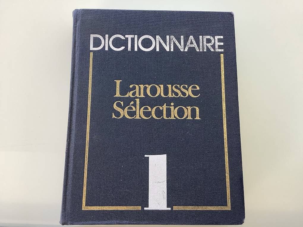 Libri: Dictionnaire Larousse sélection – Usato da Icogne venduto da Juka