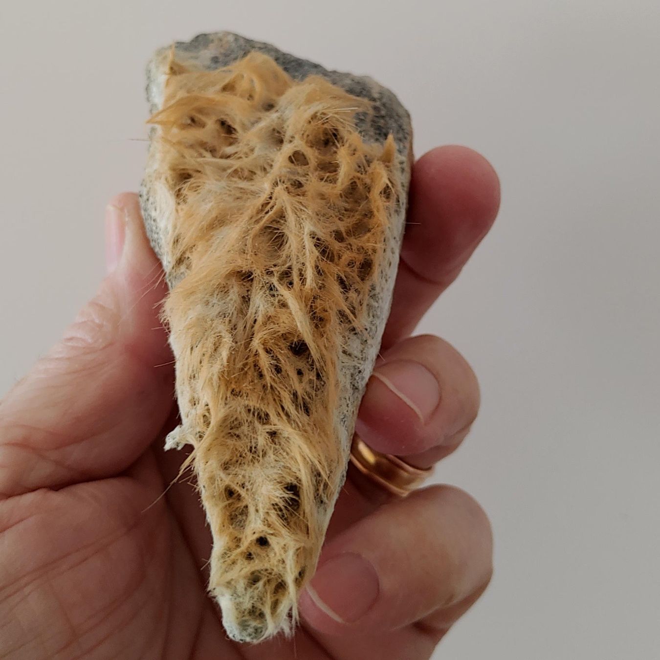 Minerali & Pietre curative: Schöne Amiant-Stufe, Maderanertal UR, Eigenfund – Nuovo e nell'imballaggio originale da Steinhausen venduto da Kristall022 2