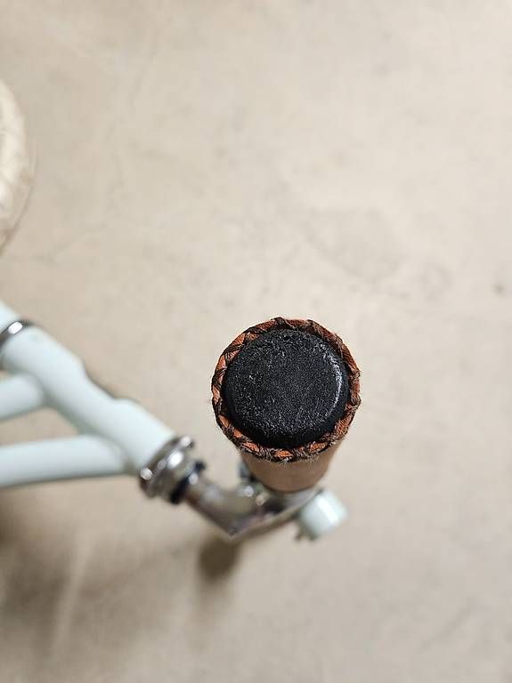 Banwood Biciclette: Banwood First GO! Mint – Usato da Thalwil venduto da Alizze 3