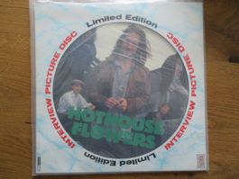 HOTHOUSE FLOWERS PICTURE LP