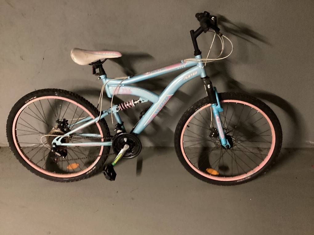 Biciclette: Vélo Avalon – Usato da Paudex venduto da Bdolovech