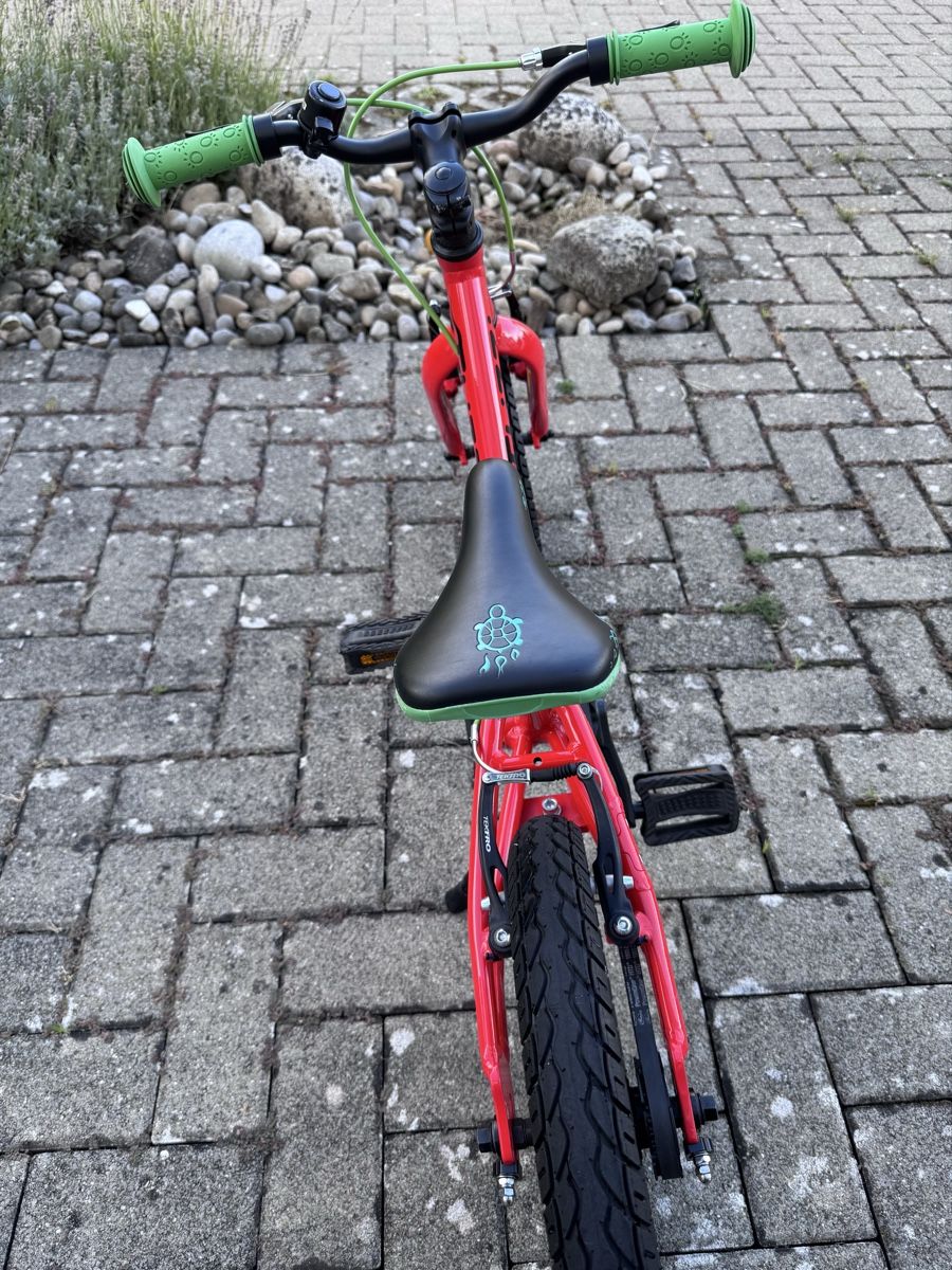 Flizzi Velos: FLiZZi 16 Riemen – Gebraucht aus Lyss von ka_stein 2