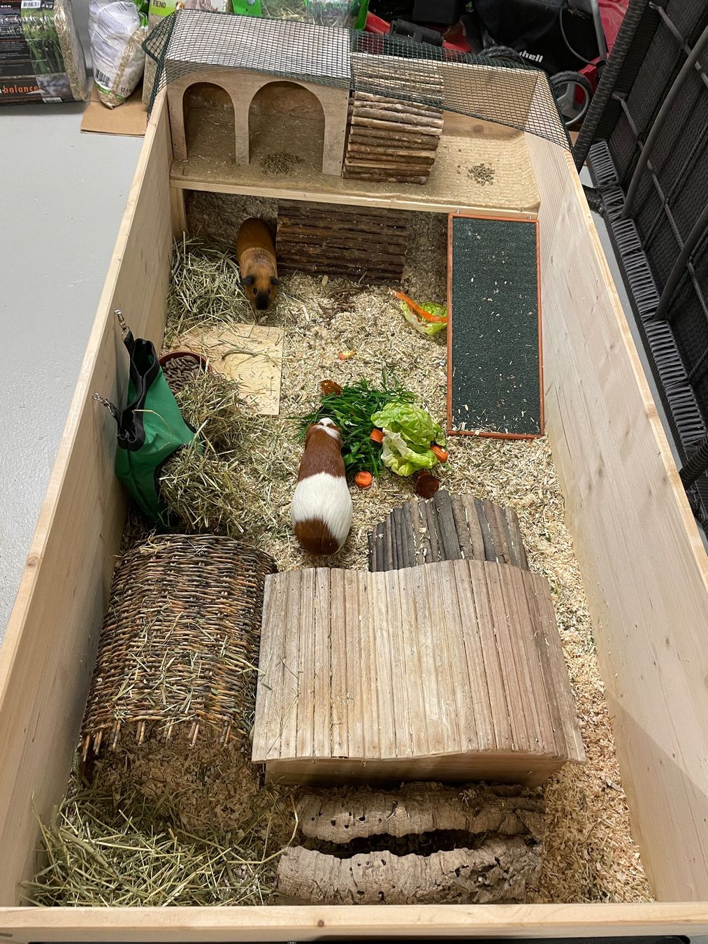 Gabbie, trasporto & Sicurezza: Meerschweinchen Gehege – Usato da Mägenwil venduto da Bienchen8 5