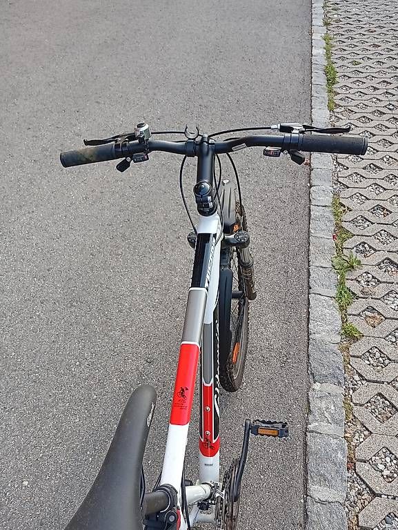 Biciclette: Mountain Bike California 26" – Usato da Gorduno venduto da mor_y5bd 2