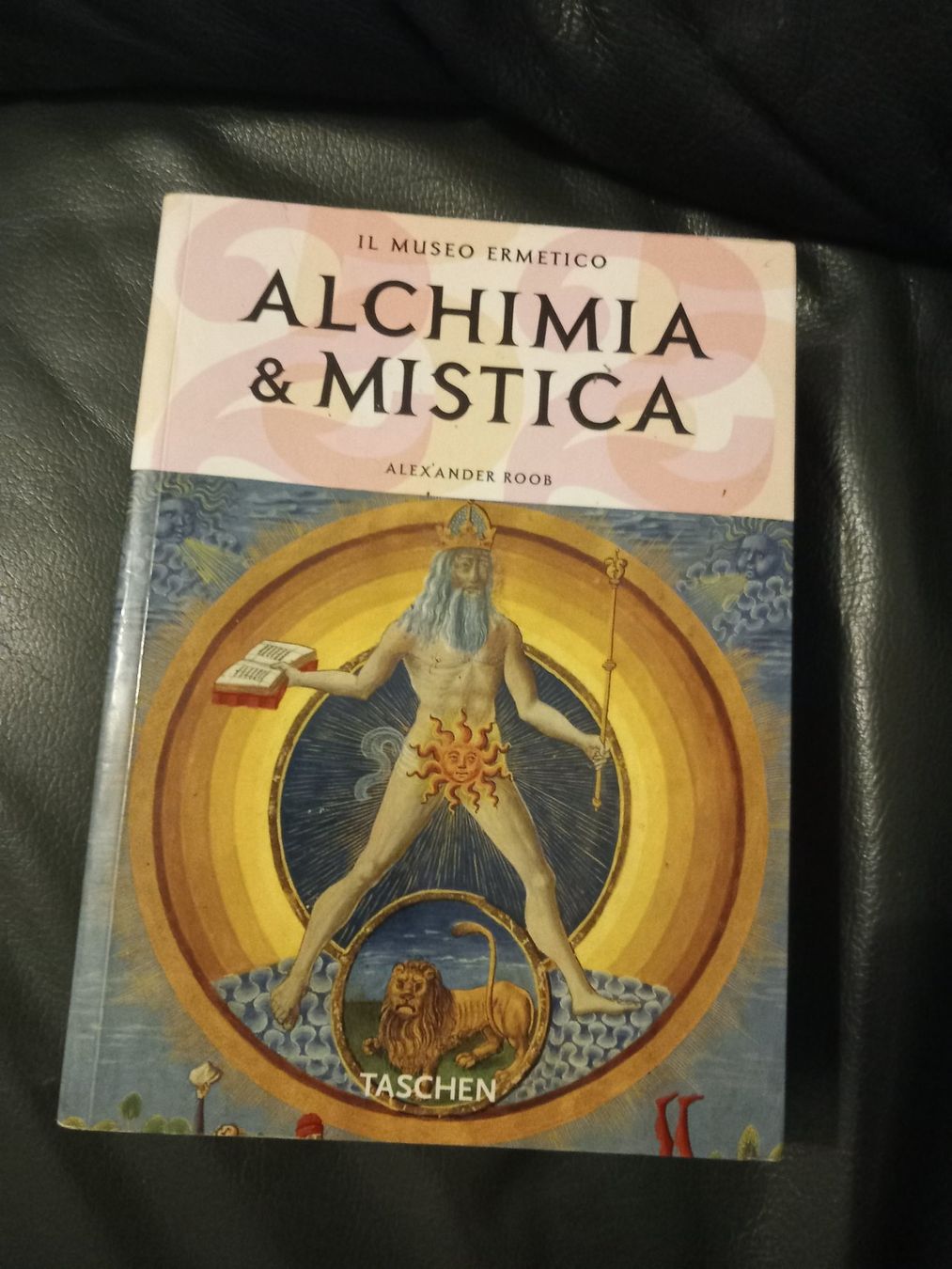 Bücher: Livre alchimia & mystica – Gebraucht aus Le Grand-Saconnex von Rgt87
