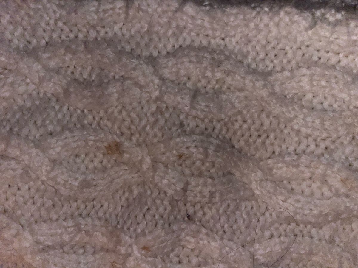 Mango Giacche: Warm Knitted Cardigan for Winter from Mango – Usato da Thalwil venduto da Adr1234 3