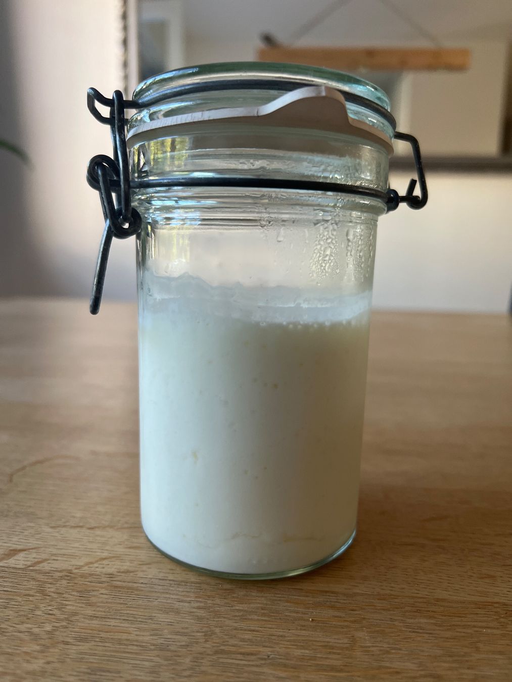 Lebensmittel & Spezialitäten: Bio-Milch Kefir 20g. – Neu (gemäss Beschreibung) aus Baden von studiOli 3