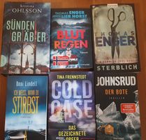 6 Krimi Thriller Romane skandinavische Autoren Set