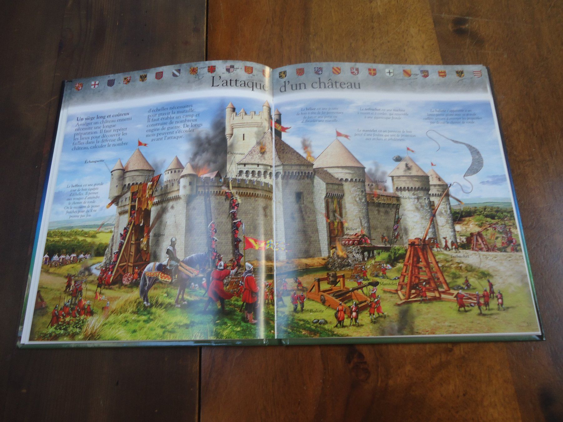 Libri: Les chevaliers - Imagia Fleurus + puzzle – Usato da Vessy venduto da bm.par 3