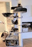 ROBUSTER KATZENBAUM mit Ø 16 cm Stämmen 60 KG - ab Lager
