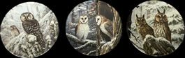 3er-Set Sammelteller „Eulen im Winter“ – limitierte Edition