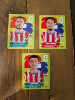 Panini Paraguay