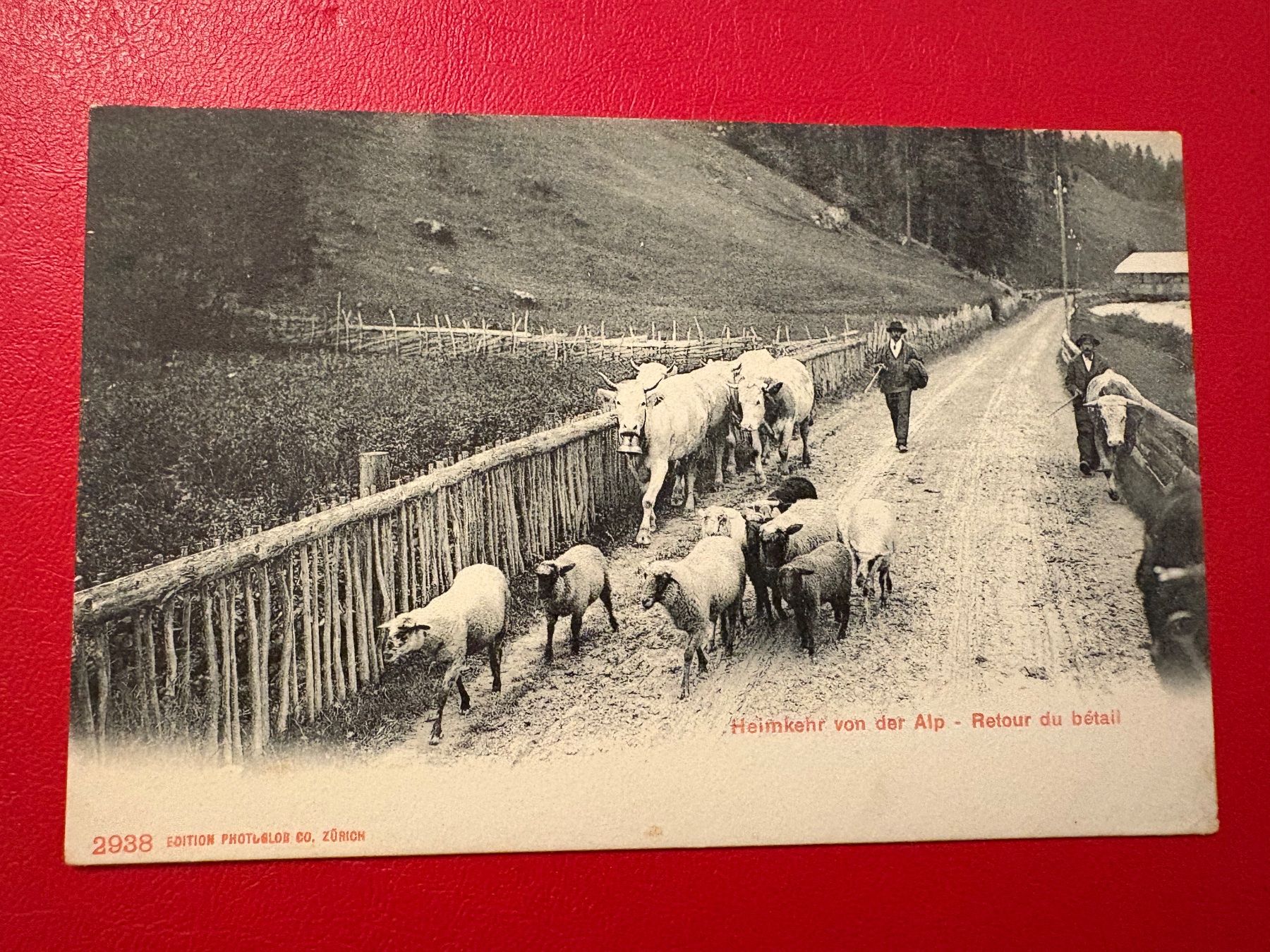 Cartoline postali: Heimkehr von der Alp – Usato da St-Légier-Chiésaz venduto da Theo006