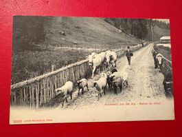 Heimkehr von der Alp