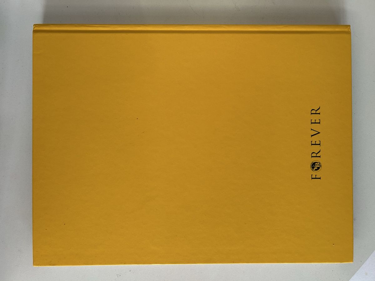 Libri: Yb Meister Buch 2019 – Usato da Bern venduto da spraydose 1