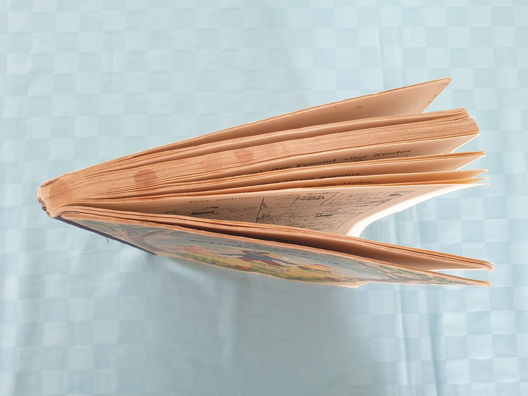 Bücher: Globibuch Globi der Kinderfreund – Gebraucht aus Mörschwil von spirspi 9