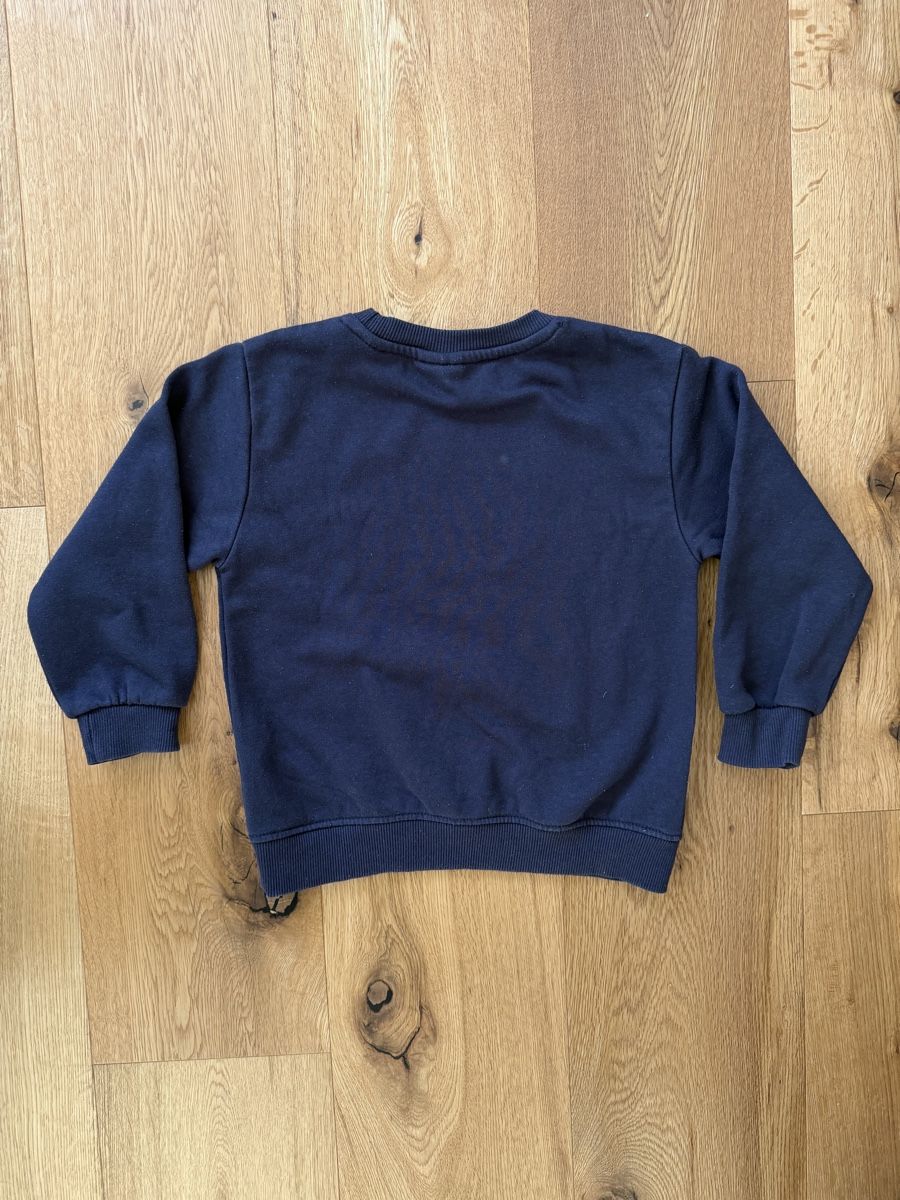 Zara Maglioni & Felpe: Zara Kids - Pullover, Gr. 110 – Usato da Interlaken venduto da fbnscl 2