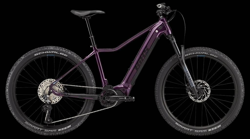 Velos: E-bike in liquidazione – Gebraucht aus Cadro von popovich 1