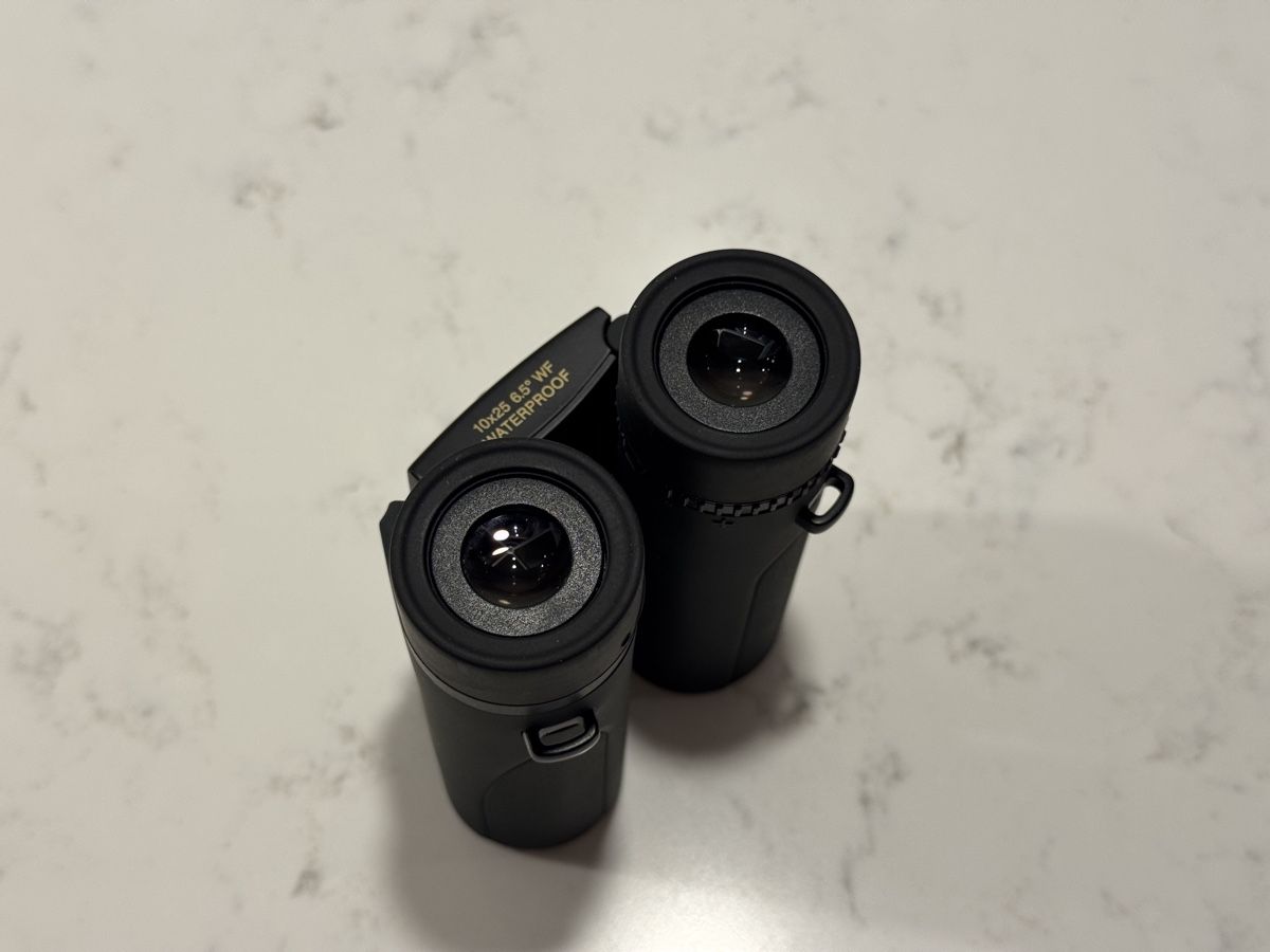 Nikon Binocoli: Nikon Sportstar EX 10x25DCF Feldstecher / Fernglas – Usato da Zürich venduto da RicardoExplorer 2