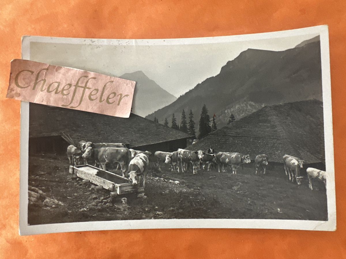 Ansichtskarten: 1932 Gasternthal – Gebraucht aus Zürich von Chaeffeler
