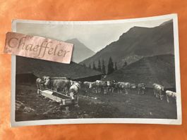 1932 Gasternthal