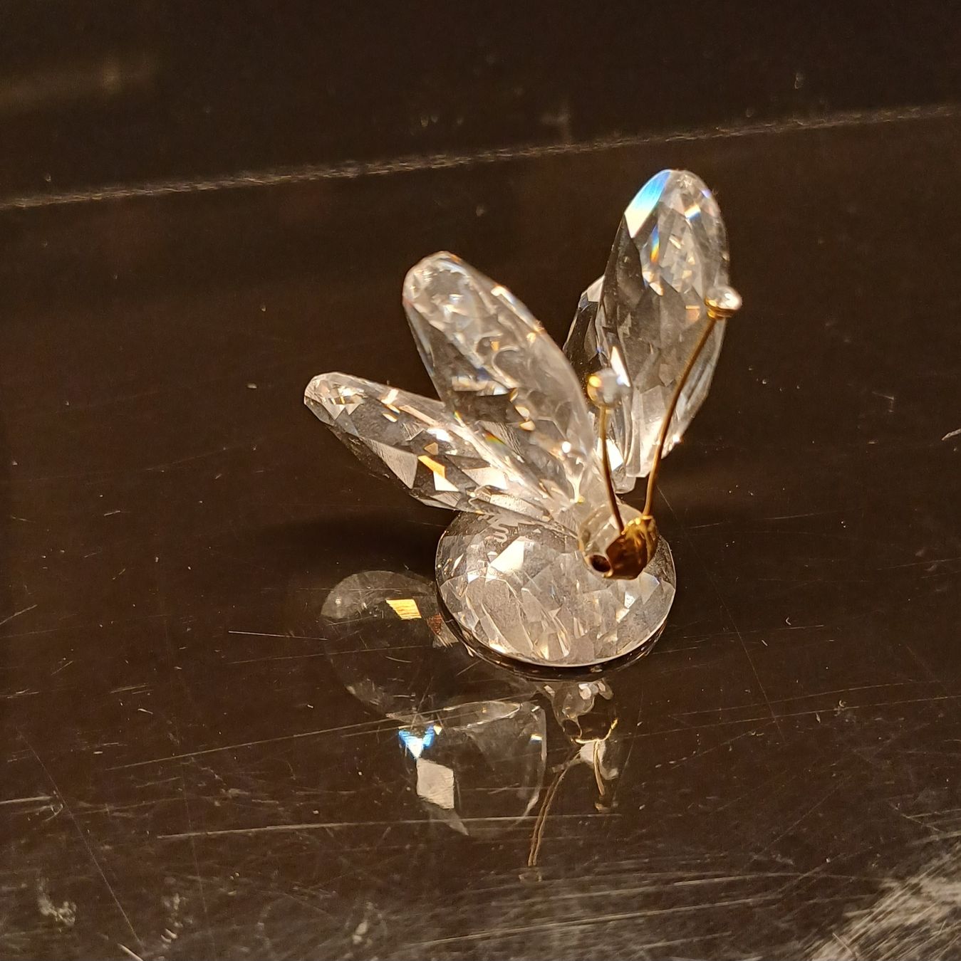 Swarovski Statuette: Swarovski Schmetterling klein – Usato da Unterägeri venduto da fand6314 1