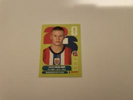 FIFA WM 2026 Erling Haaland NOR 15