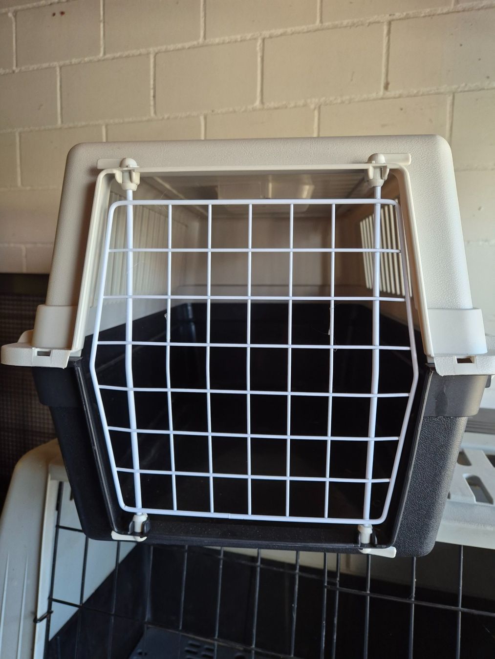 Gabbie, trasporto & Sicurezza: Tiertransportbox – Usato da Büttikon AG venduto da jajeda 2