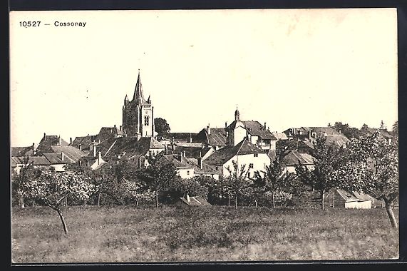 Cartoline postali: AK Cossonay, Vue panoramique – Usato da Berlin venduto da bartko-reher