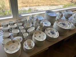 Grosses originales Wedgwood England Geschirrservice