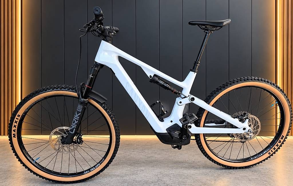 Canyon Biciclette: Canyon Spectral ON CF7 L – Usato da Wallisellen venduto da BikeSwap 1
