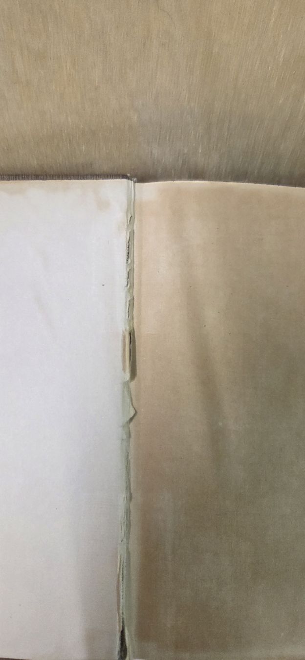 Libri: Raskolnikow antikes Buch – Usato da Wildhaus venduto da enzian66 2