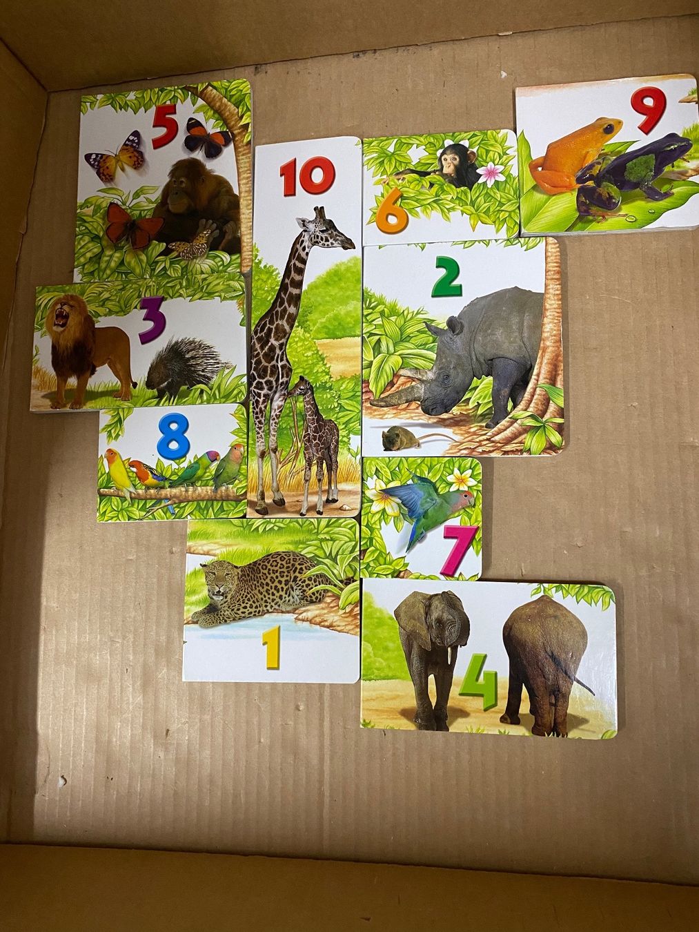 Bücher: Zoo Bücher (vergleiche) – Gebraucht aus Eschlikon TG von ArtRec 3